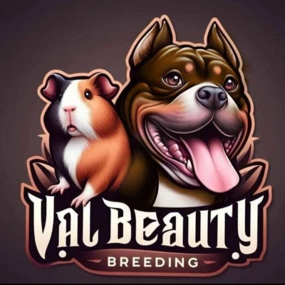 élevage val beauty